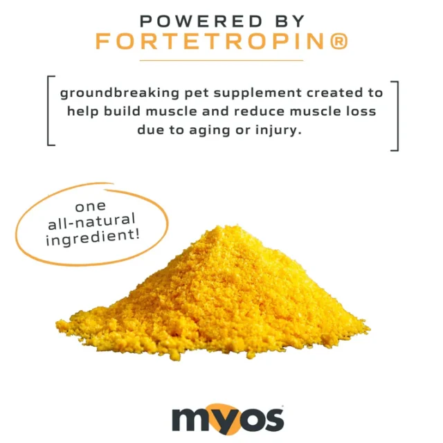 MYOS Canine  Muscle Formula powered by Fortetropin® - Image 6