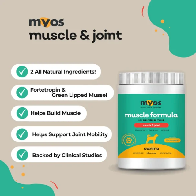 MYOS Canine Green Lipped Mussel Formula powered by Fortetropin® - Image 3