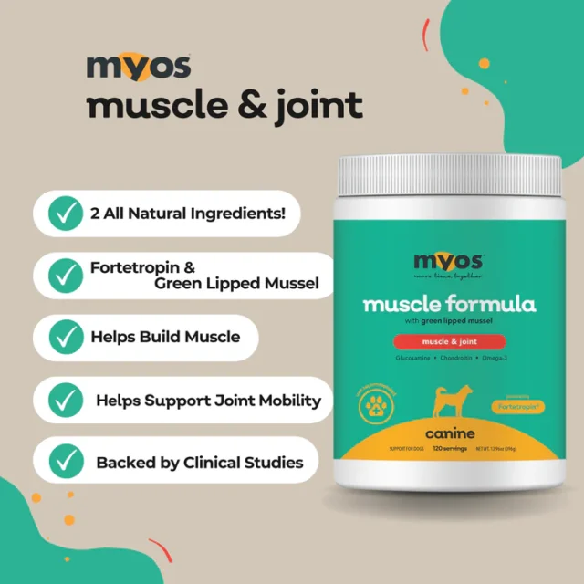 MYOS Muscle & Joint Formula - Image 2