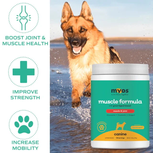 MYOS Muscle & Joint Formula - Image 4