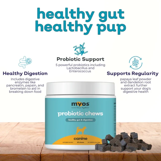 MYOS Canine Probiotic Chews - Image 2