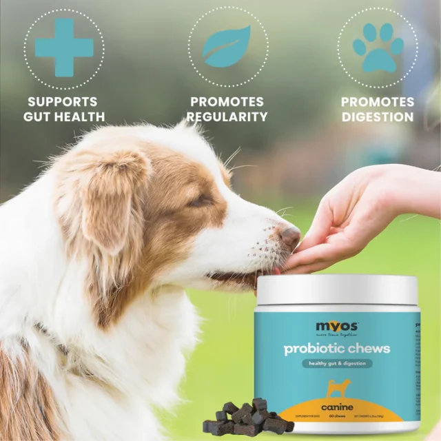 MYOS Canine Probiotic Chews - Image 3